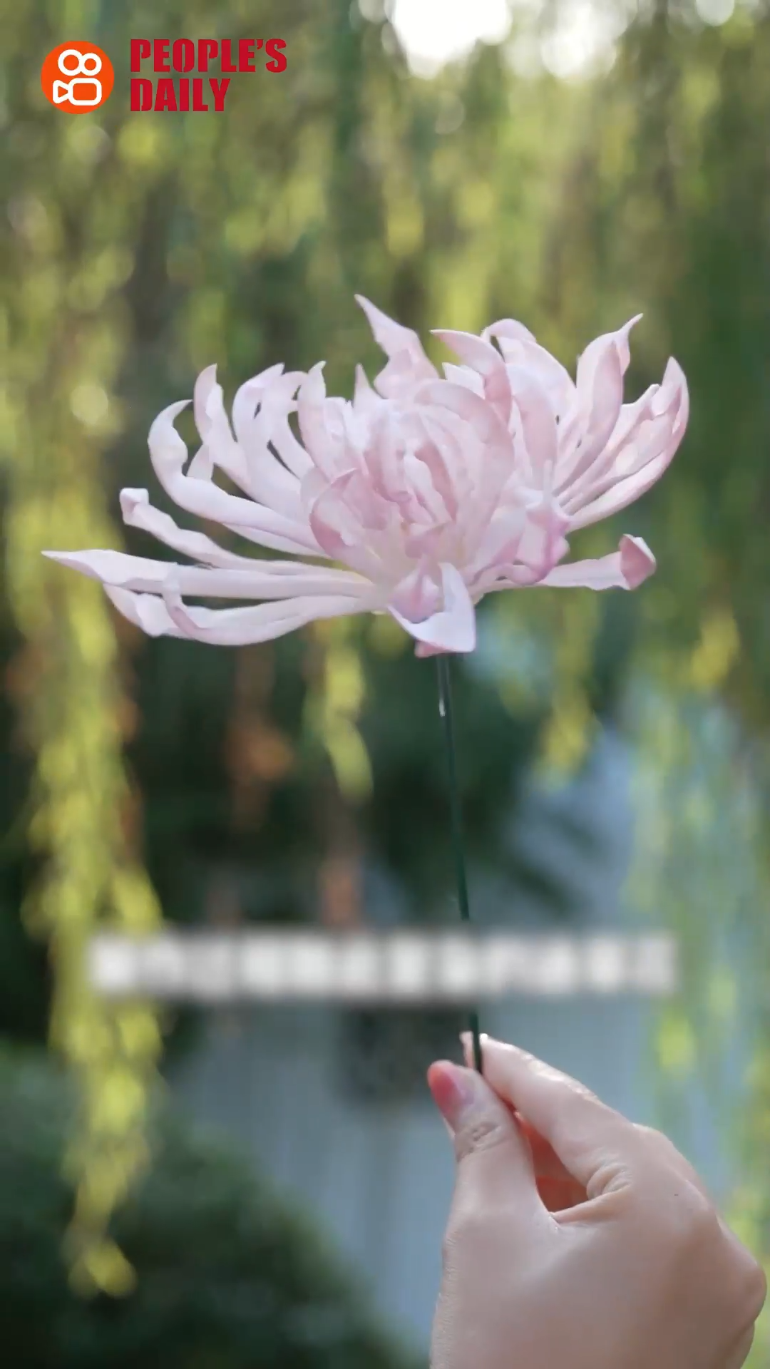 Trending in China | The ever-blooming art of Tongcao flowers