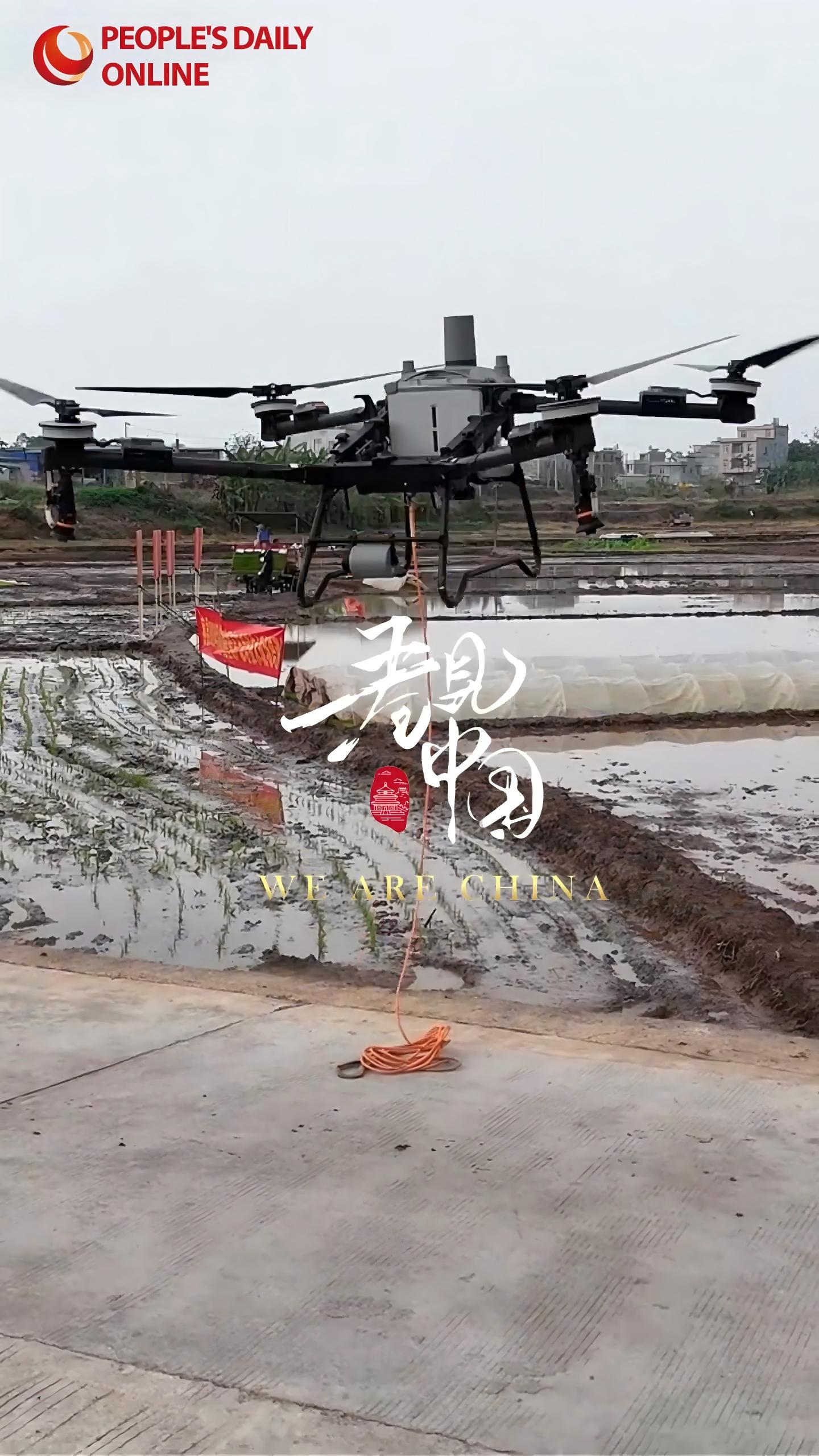 Drones empower China's smart spring farming