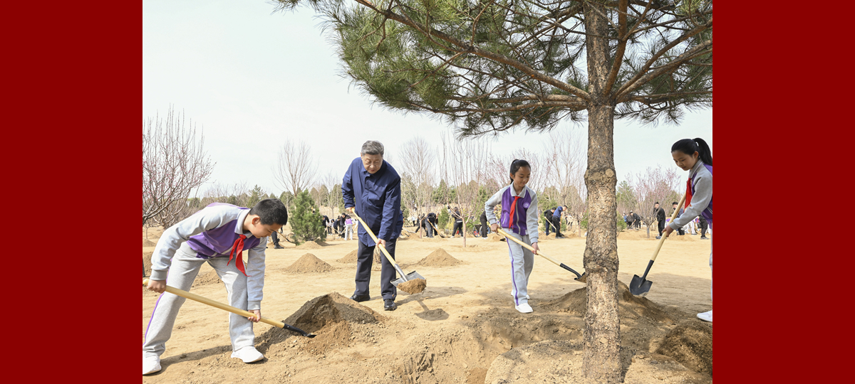 Xi urges mobilizing whole society in tree-planting efforts