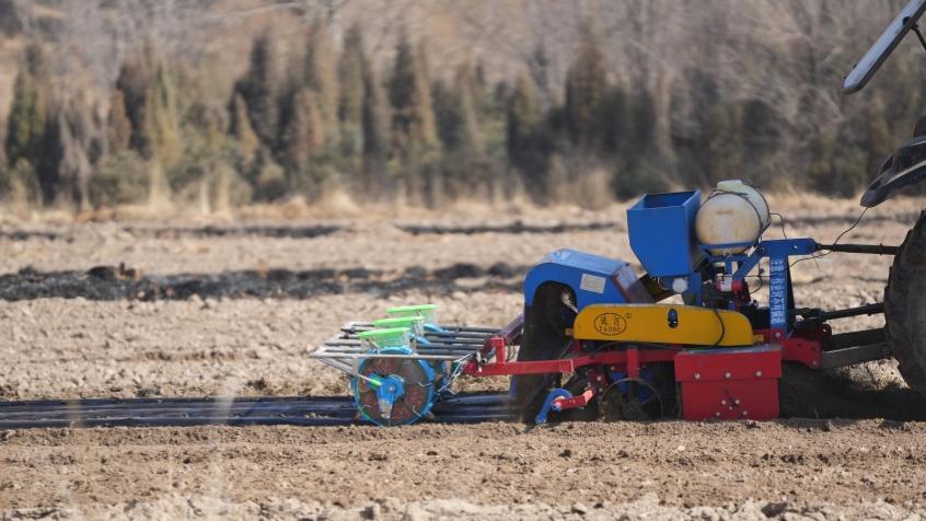 Technology drives sowing of broad beans in Huangzhong district, NW China's Qinghai