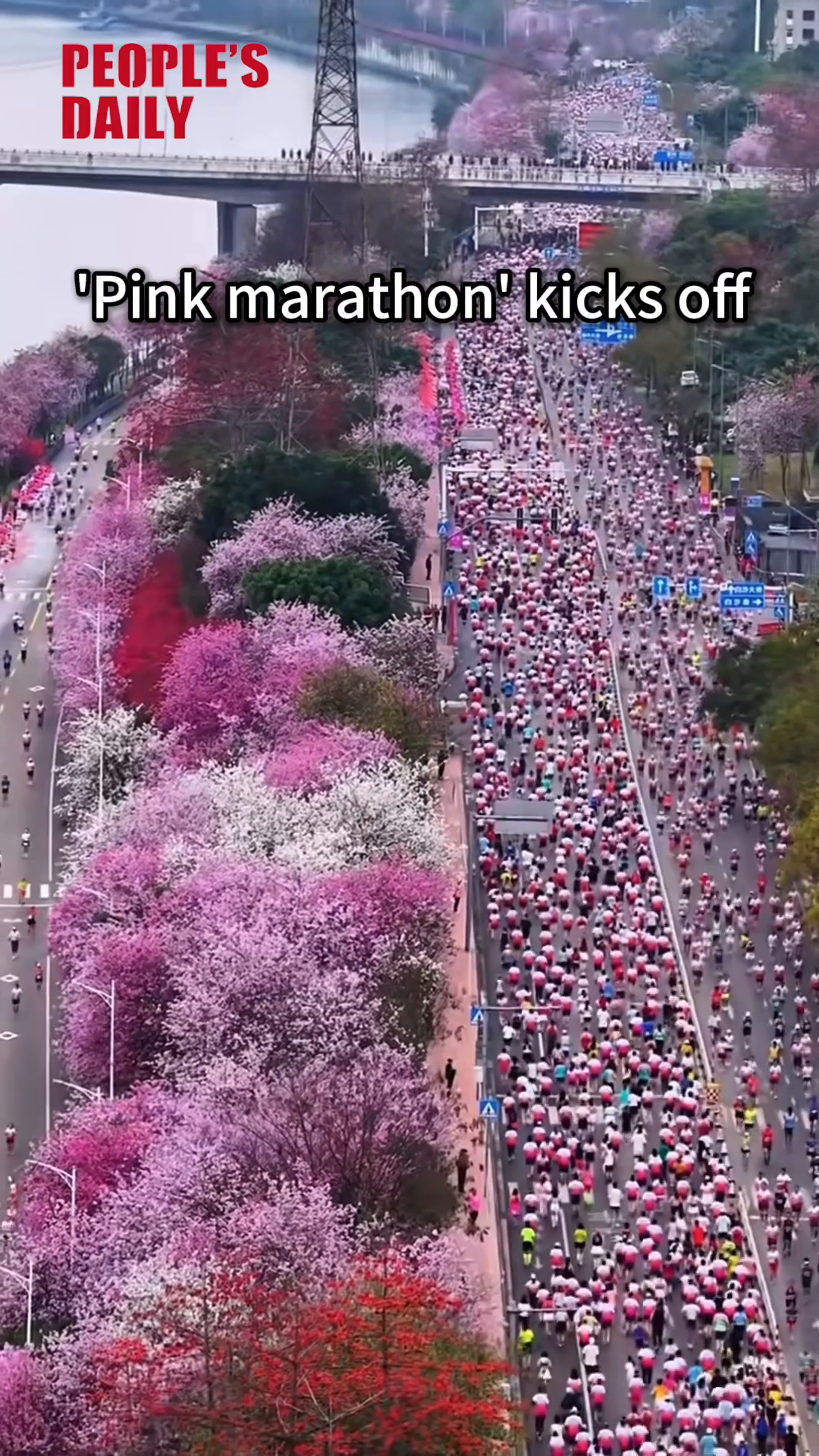 'Pink marathon' kicks off