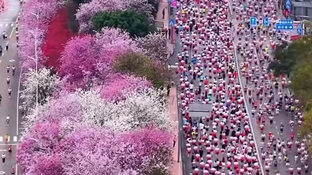 'Pink marathon' kicks off