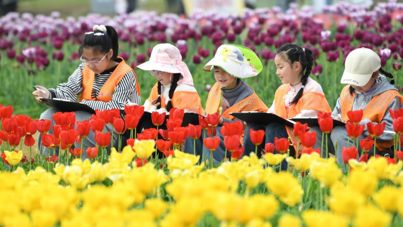 Primary, secondary school students in several regions across China enjoy their first-ever spring break