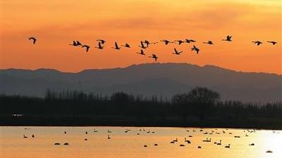 China's ecotourism draws over 3 billion tourist visits in 2025