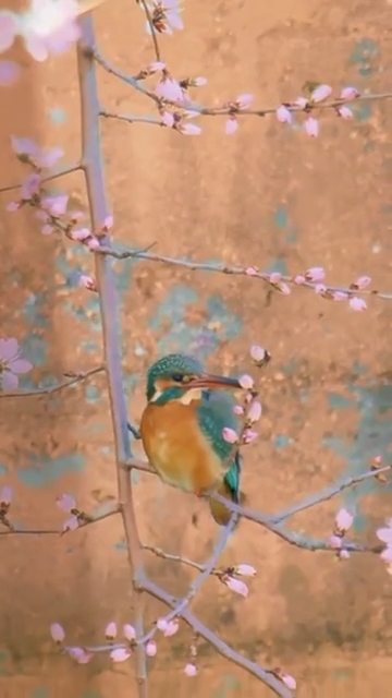 A living traditional Chinese painting