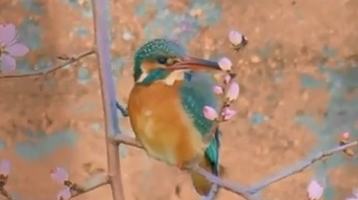 A living traditional Chinese painting