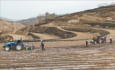 Modern agricultural machinery, techniques boost production in NW China's Qinghai