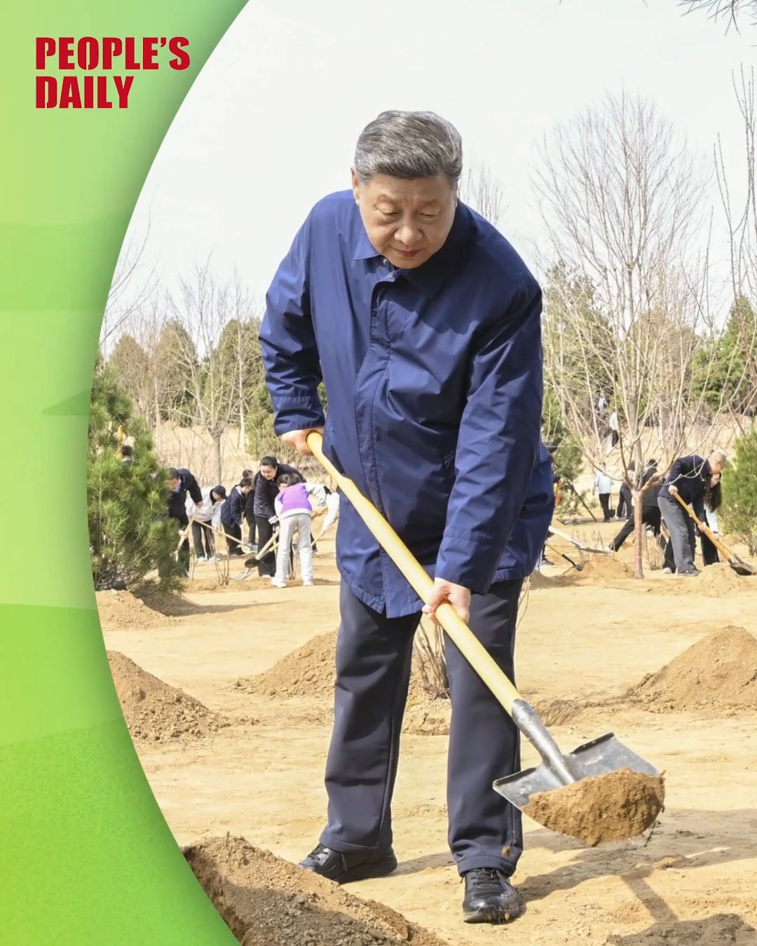 Xi leads by example in tree planting