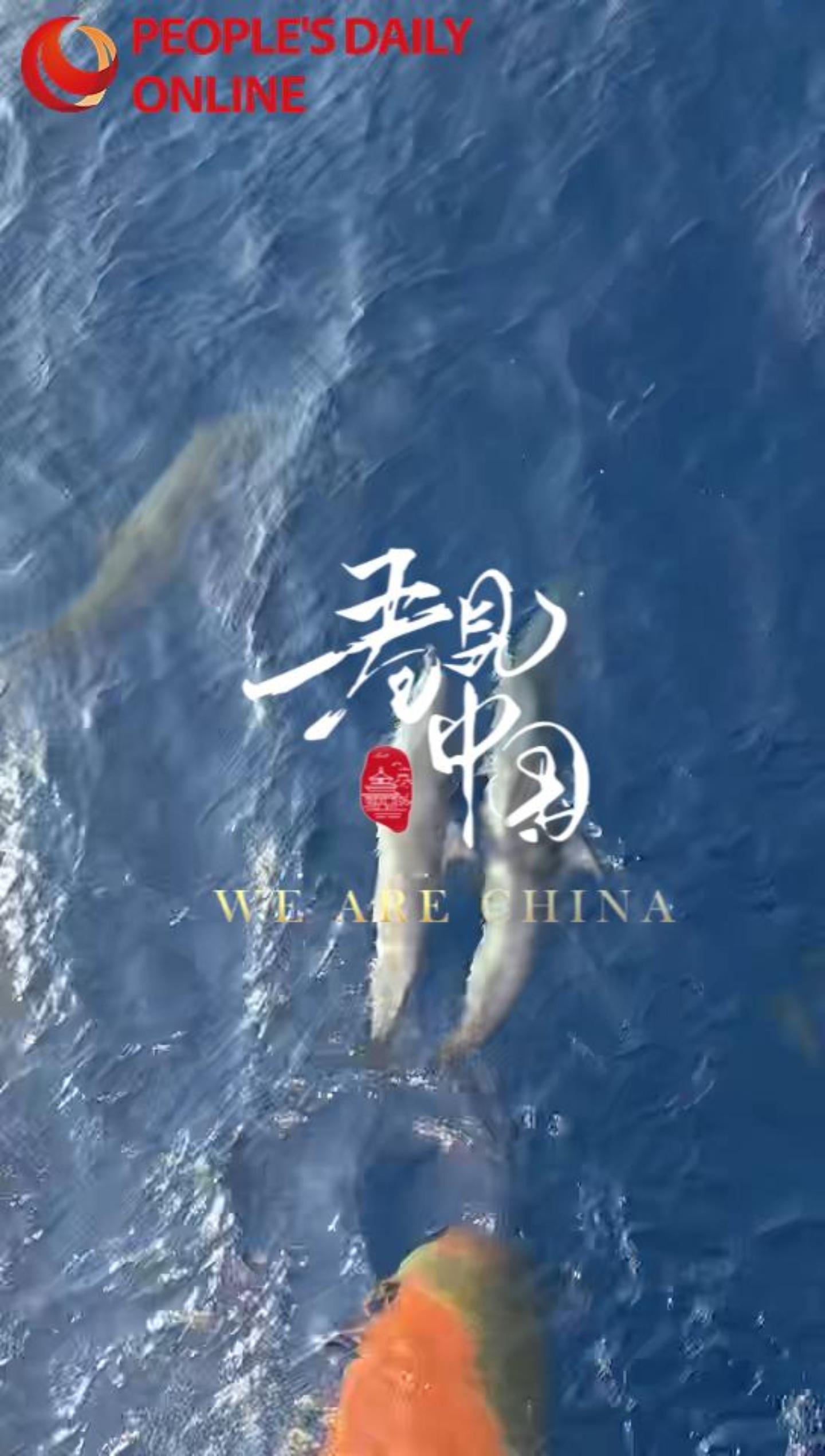 Dolphins dance near China's Xisha Islands