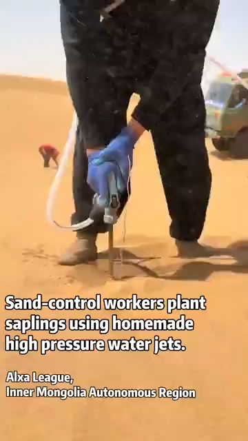 Sand-control workers plant saplings using homemade high pressure water jets