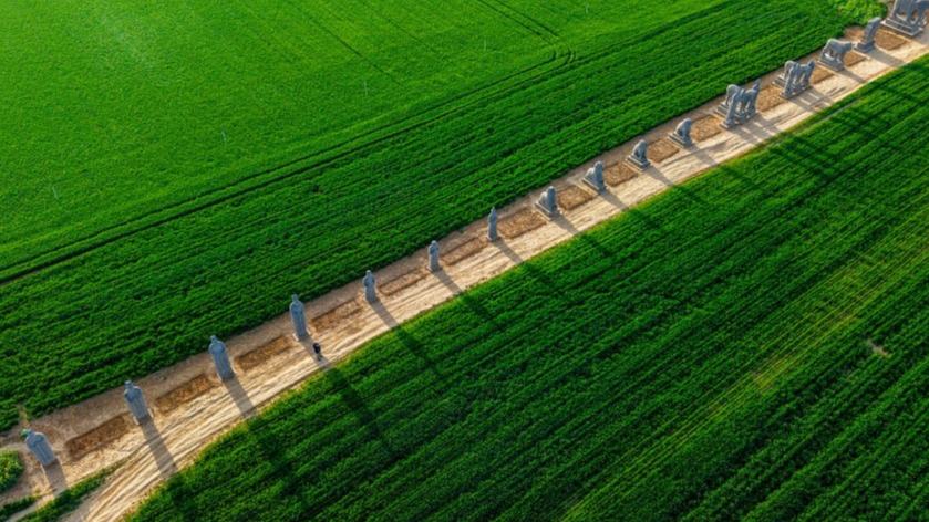 Ancient stone figures guard Northern Song mausoleums in quiet grandeur in C China's Henan