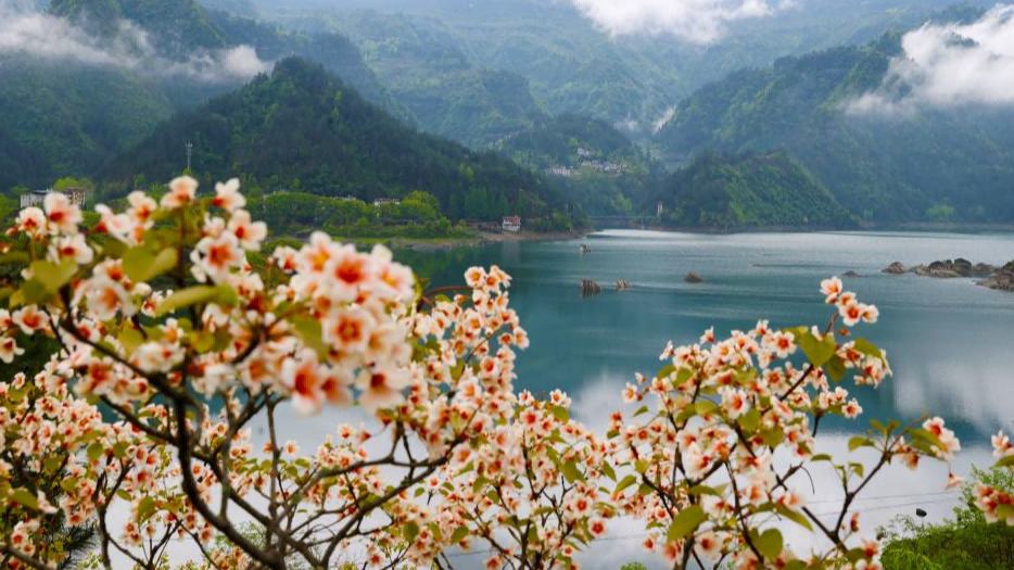 Spring scenery across China