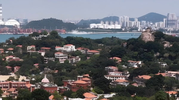 An African painting's journey: From Tanzania to the poetic shores of Gulangyu