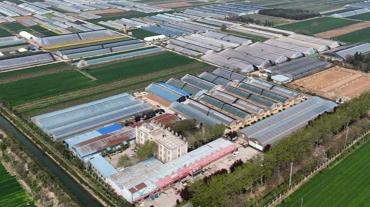 China's rural industries maintain solid growth momentum in Q1