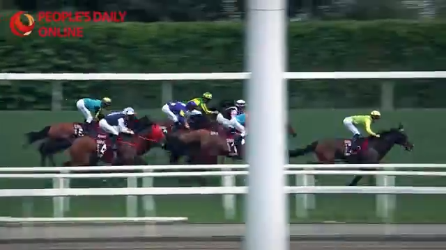 Champions Day 2026 breaks attendance record, highlighting Hong Kong's global connectivity