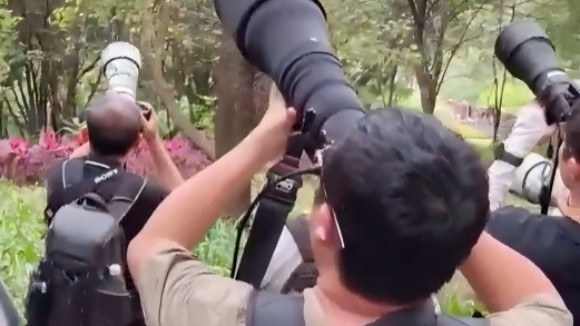 Photographer carries a screen to share bird joy