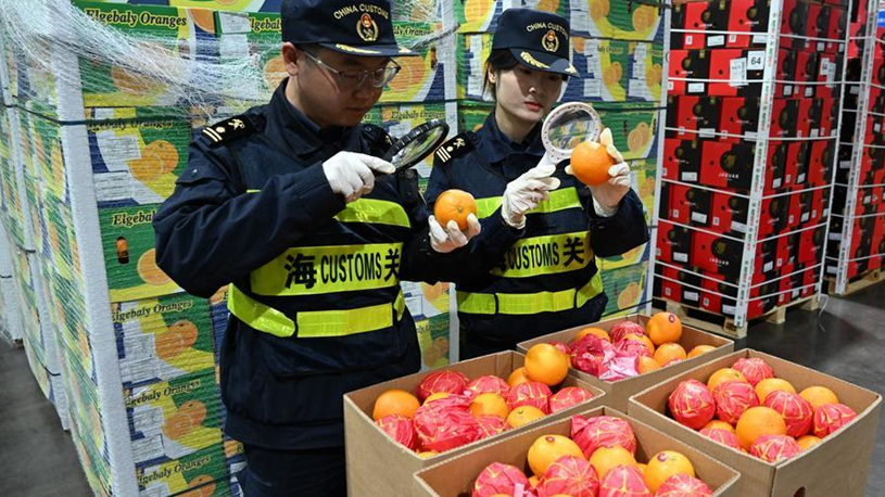 Fresh African goods hit Chinese market under new zero-tariff policy