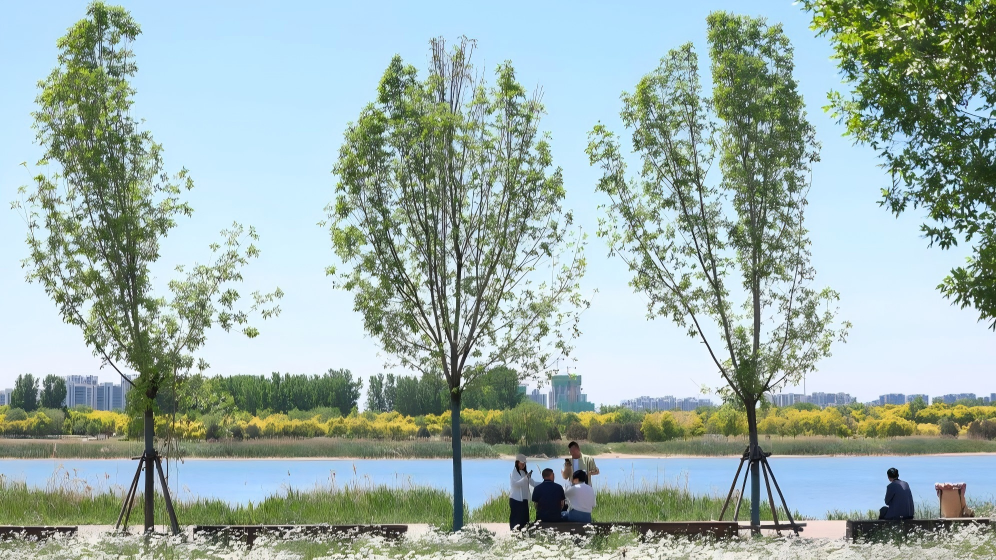 View along Hutuo River in China's Hebei