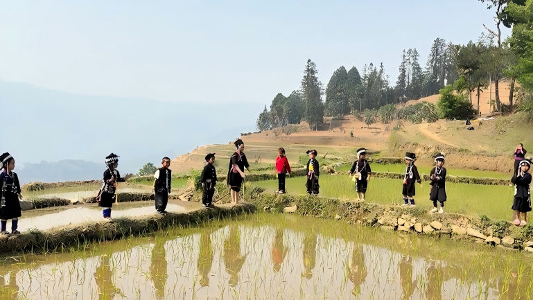 Preschool turns terraced fields into a 'classroom' in SW China's Yunnan