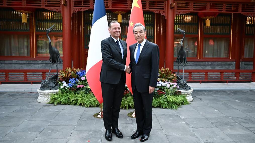 China, France shoulder important responsibilities for upholding int'l peace, stability, development: top diplomat