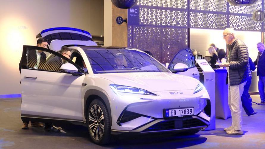 Industry representatives of Norway, China call for deeper EV cooperation
