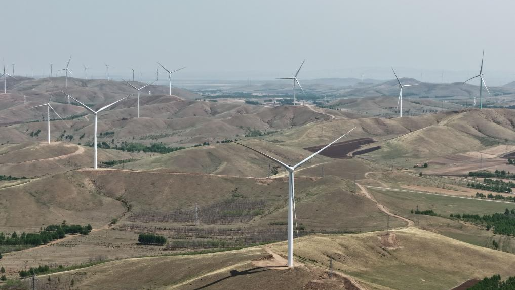 In pics: development of new energy industry in China's Inner Mongolia