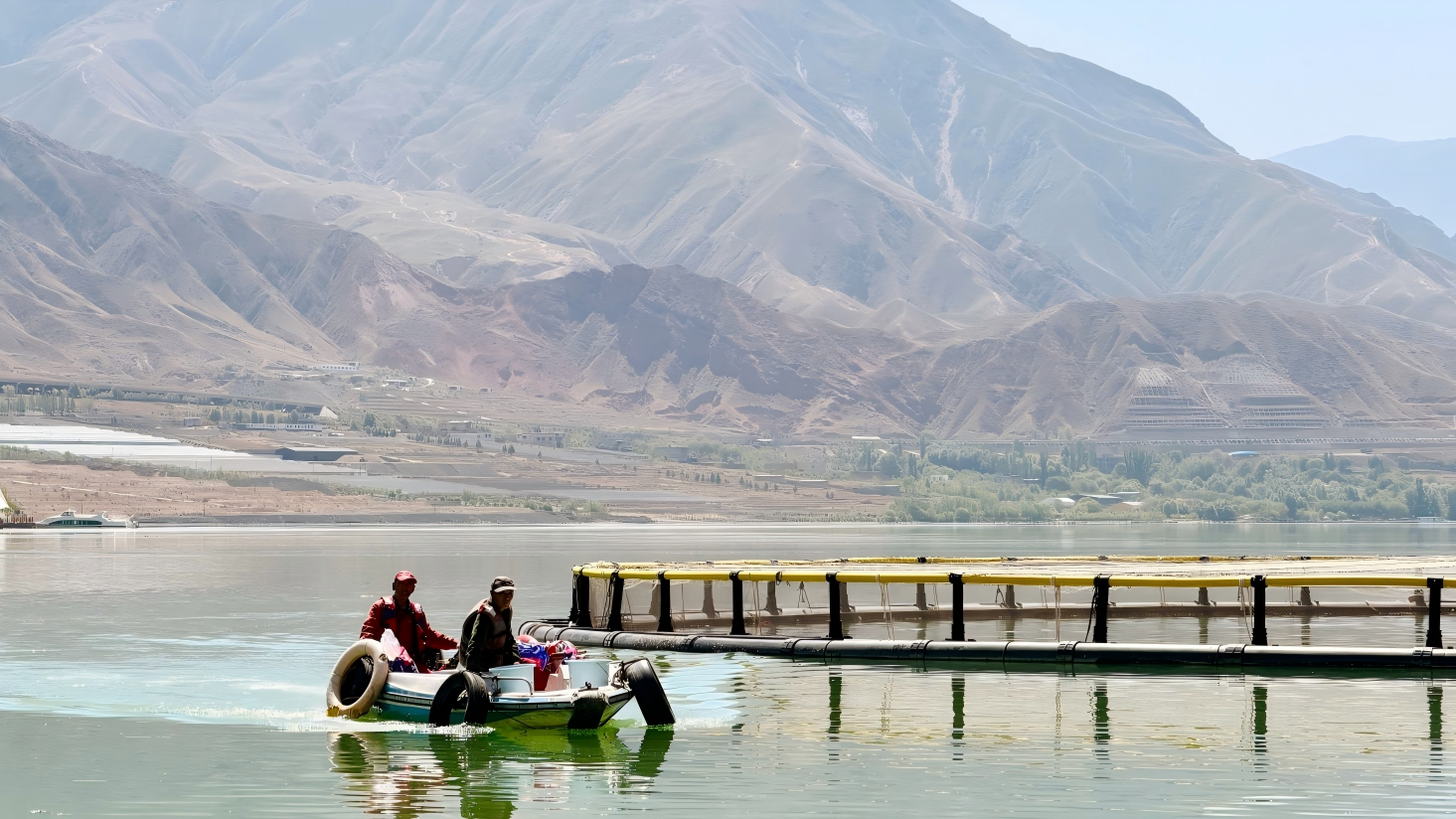 Cold-water fish breeding thrives in NW China's Qinghai
