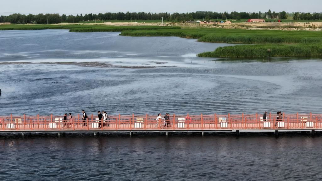 Ecology of Ulan Suhai Lake in China's Inner Mongolia improved