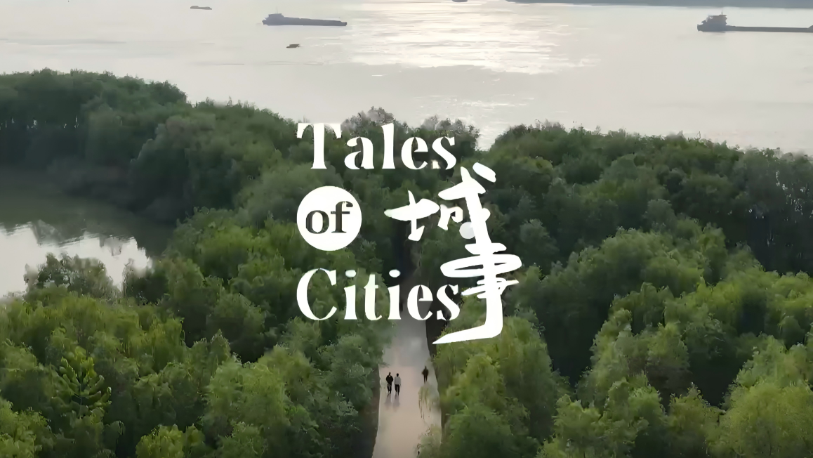 Wuhu takes off: Where ancient craft meets the future of industry
