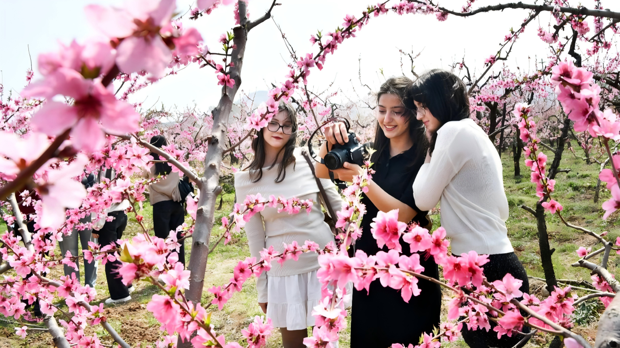 Beyond filtered narratives: China's genuine rural charm wins over global audiences