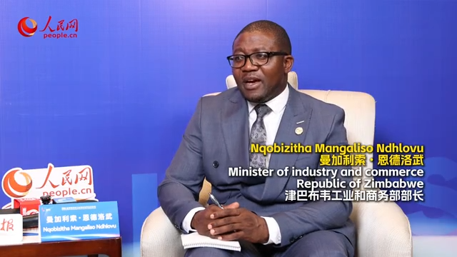 Zimbabwe minister: Africa should deepen BRICS partnerships to embrace new industrial revolution