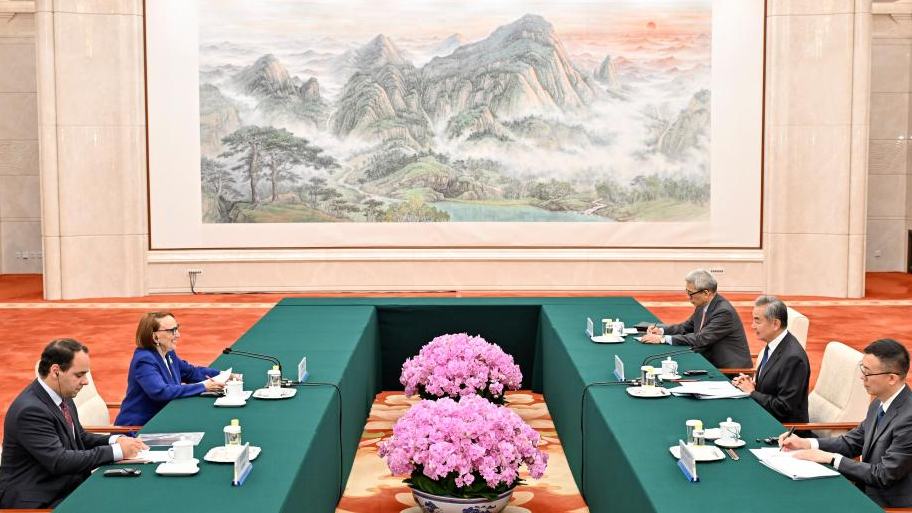 China to participate in selection of next UN chief in constructive manner: FM