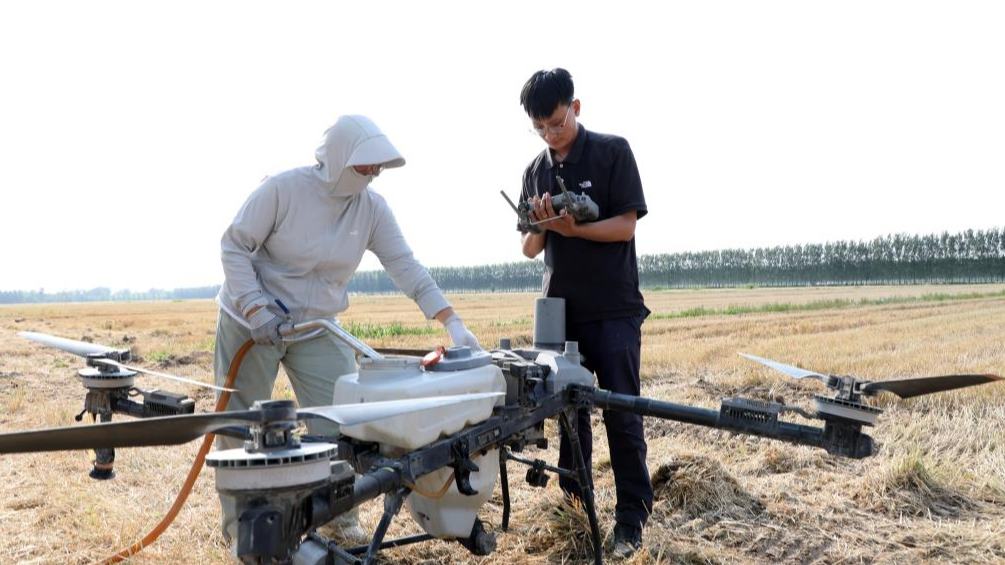 Gen-Z entrepreneur reinvents wheat farming in rural hometown