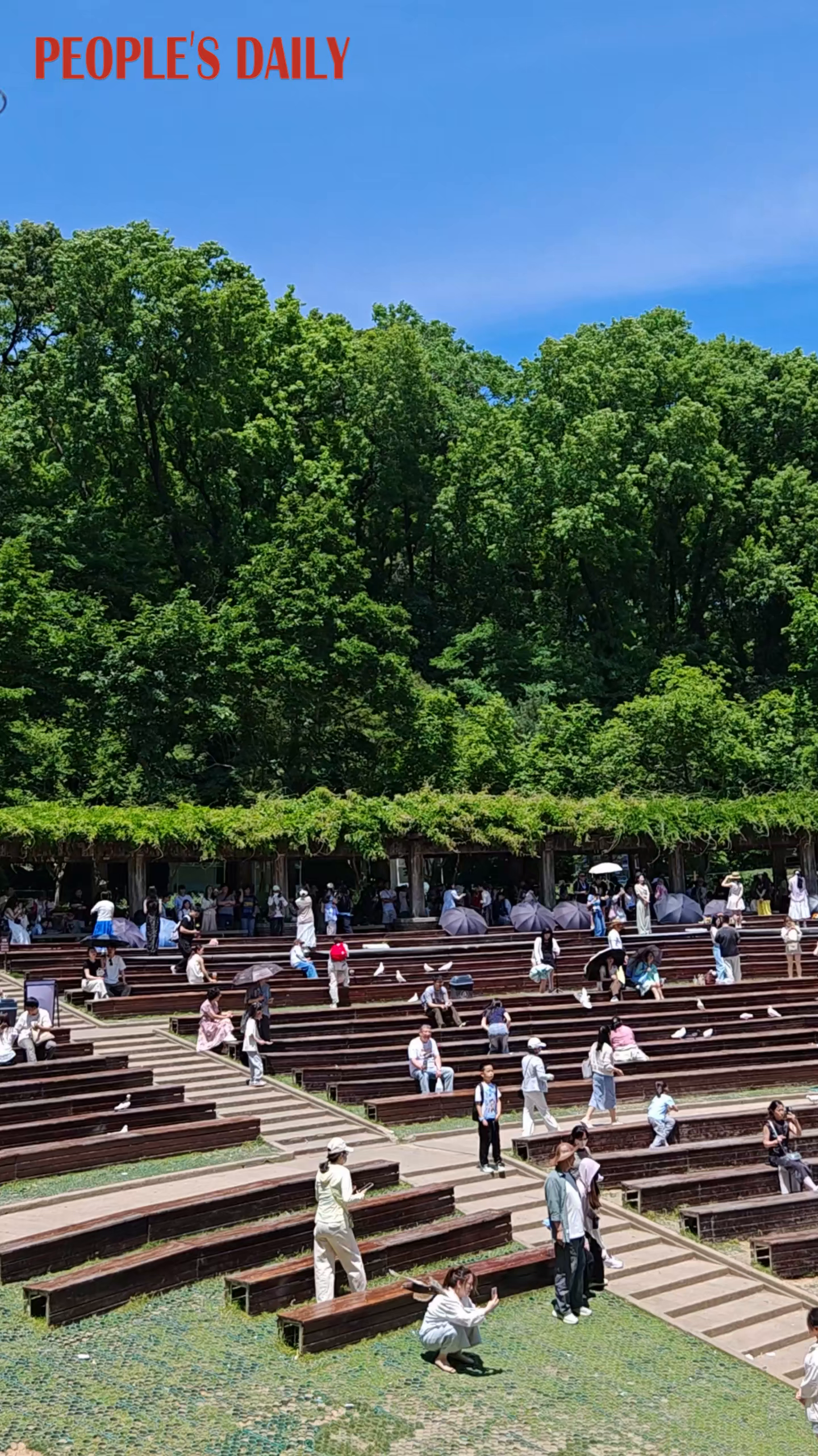 A stage, sunshine and serenity: Relaxing in east China's Nanjing
