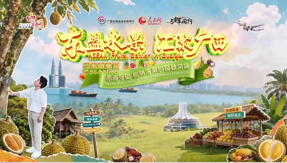 ASEAN fruits gather in Guangxi | Equator watch: premium taste of tree-ripened fallen fruits