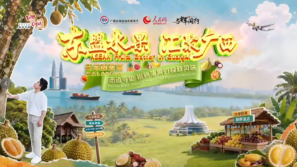 ASEAN fruits gather in Guangxi | Equator watch: premium taste of tree-ripened fallen fruits