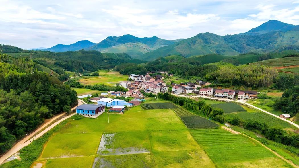China intensifies farmland protection efforts