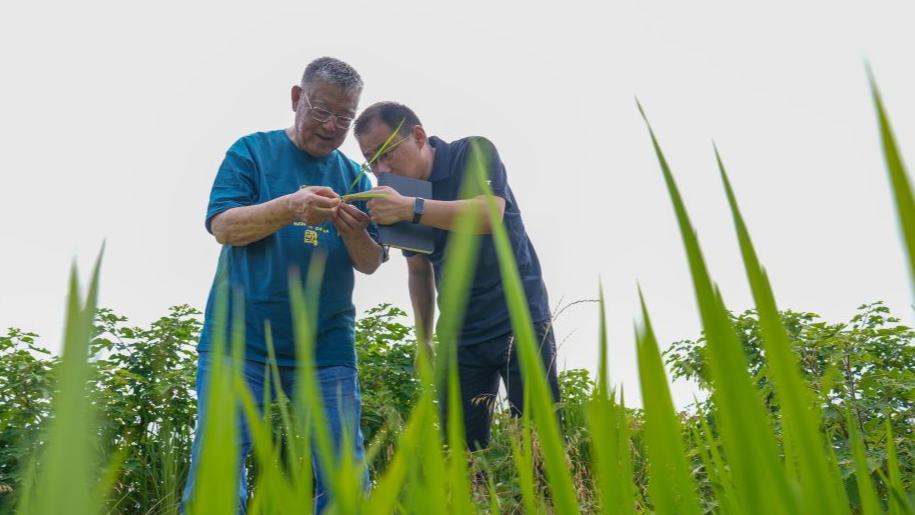 Agricultural expert spends over six decades to rural development
