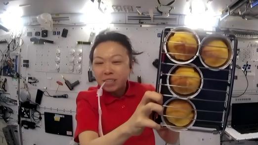 Shenzhou-23 crew bake cakes in space