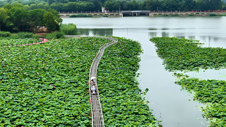 Sightseeing train ride draws visitors to park in E China's Hefei