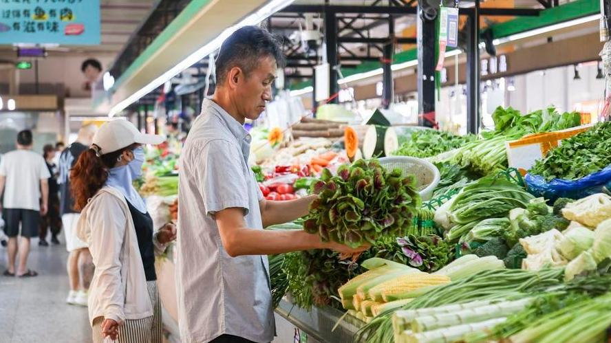 China's H1 price levels remain stable amid steady economic momentum