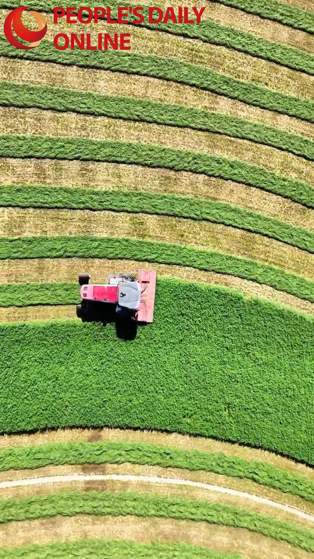 Harvesters carve geometric patterns in NW China's Xinjiang
