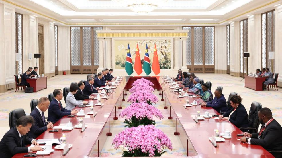 Chinese premier meets Namibian president in Beijing