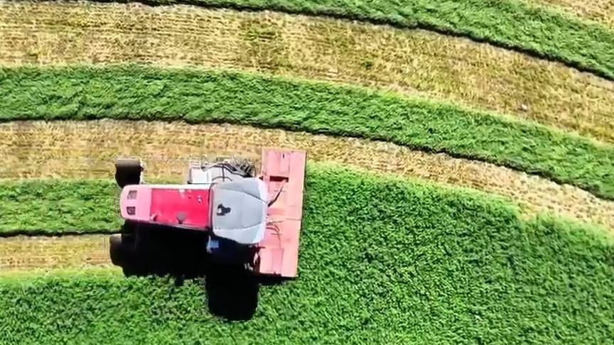 Harvesters carve geometric patterns in NW China's Xinjiang