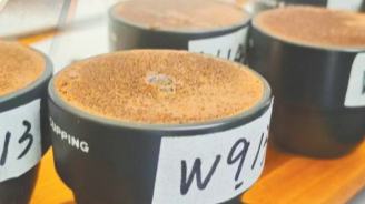 Yunnan coffee industry shifts upmarket