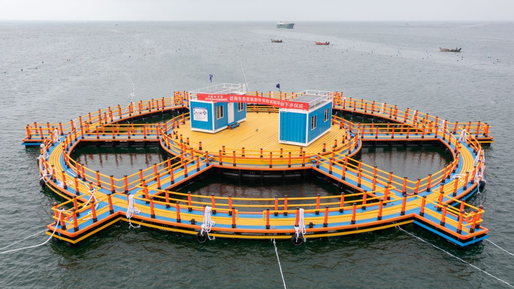 China launches large offshore lab for coastal eco-studies