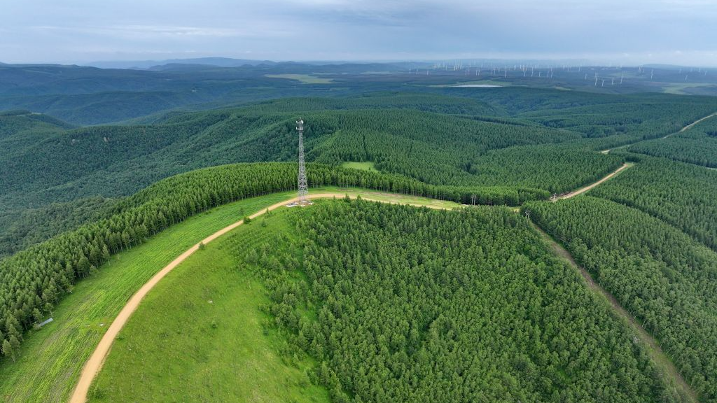 Summer scenery of Saihanba mechanized forest farm