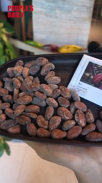 A Yunnan village's sweet success story