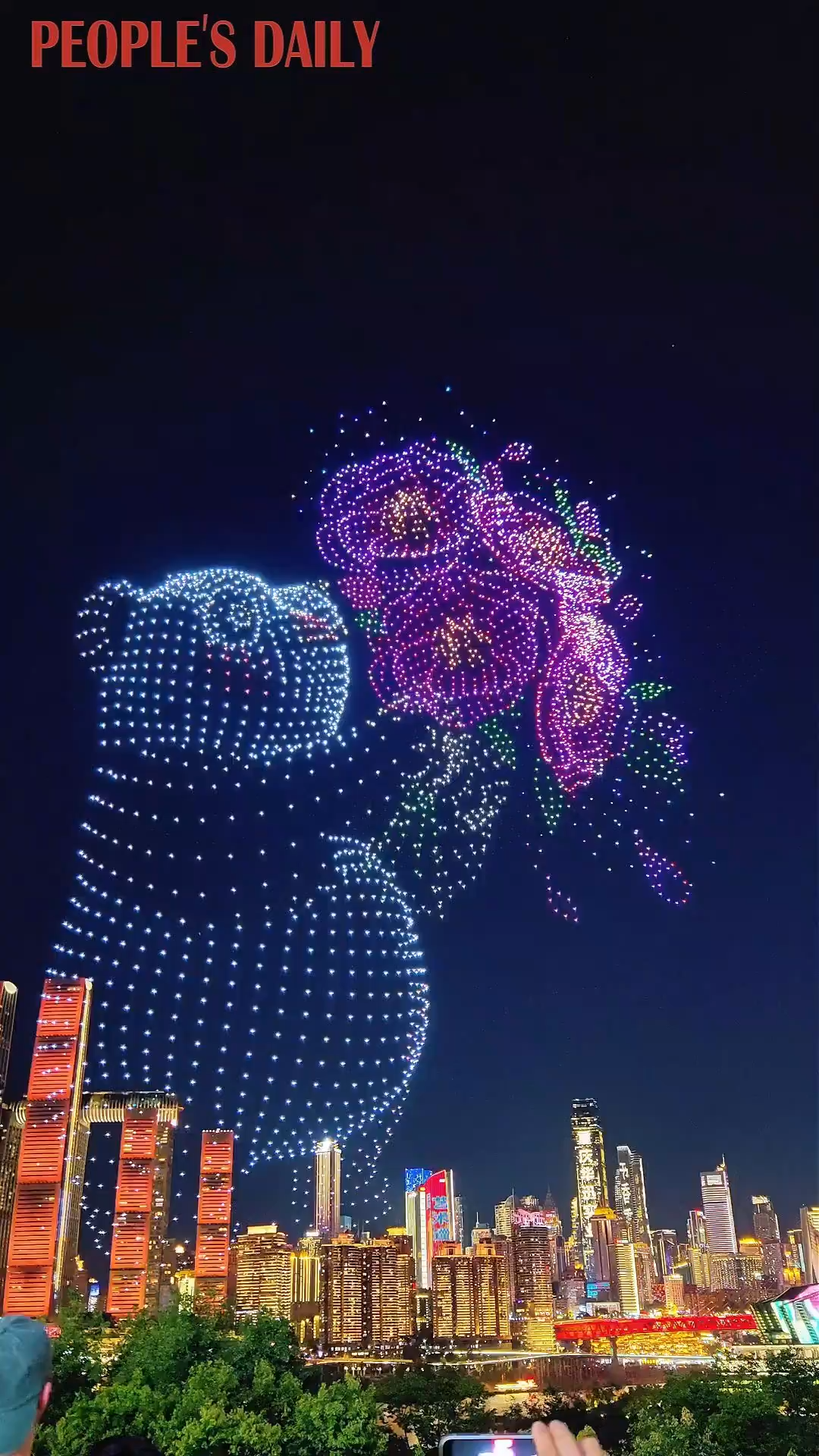 Spectacular drone show lights up the sky over Chongqing