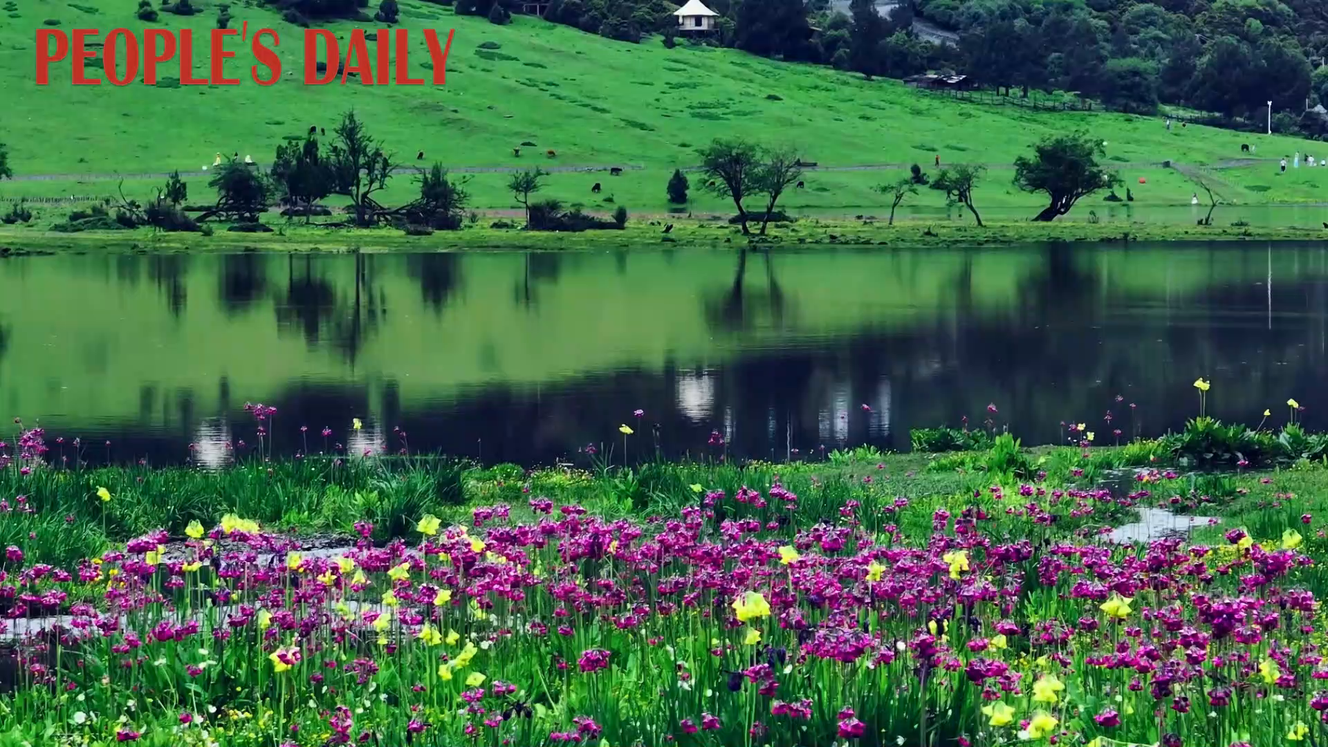Step into a fairyland at Wudi Lake in Shangri-La
